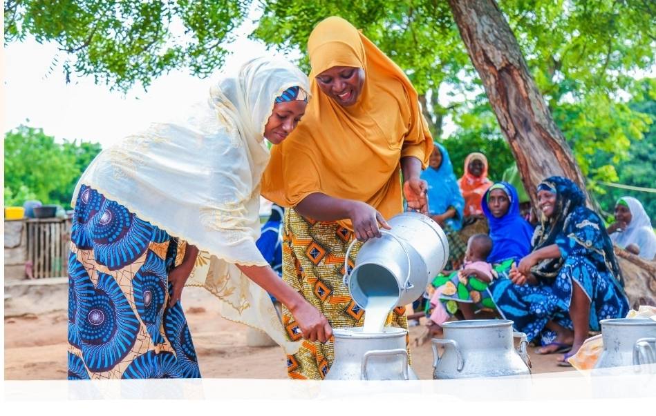 625919167 1299808288859551 7907561273559772070 n