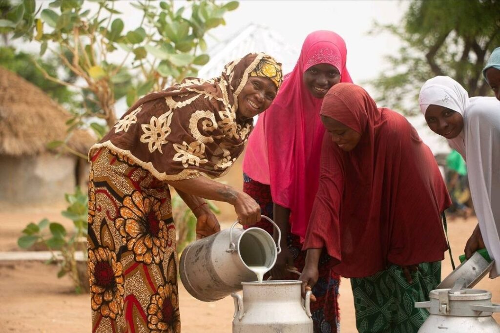 628053950 1299808325526214 4903343873222049886 n