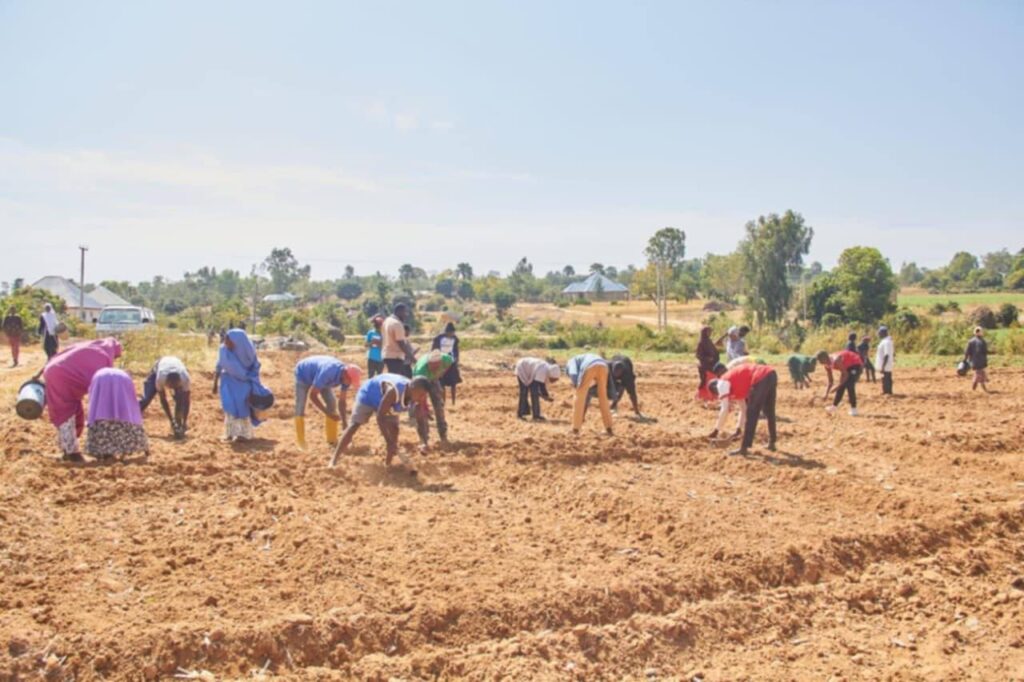 584522015 1240376878136026 2968838248904351592 n