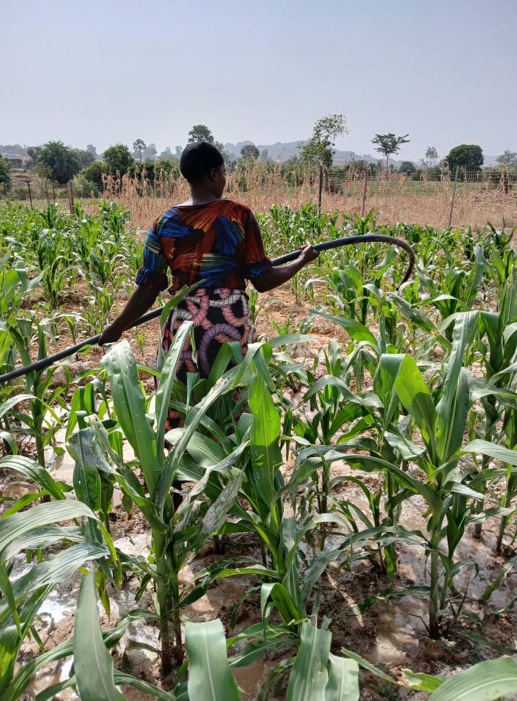 618494681 1287110346796012 9134449661614697201 n